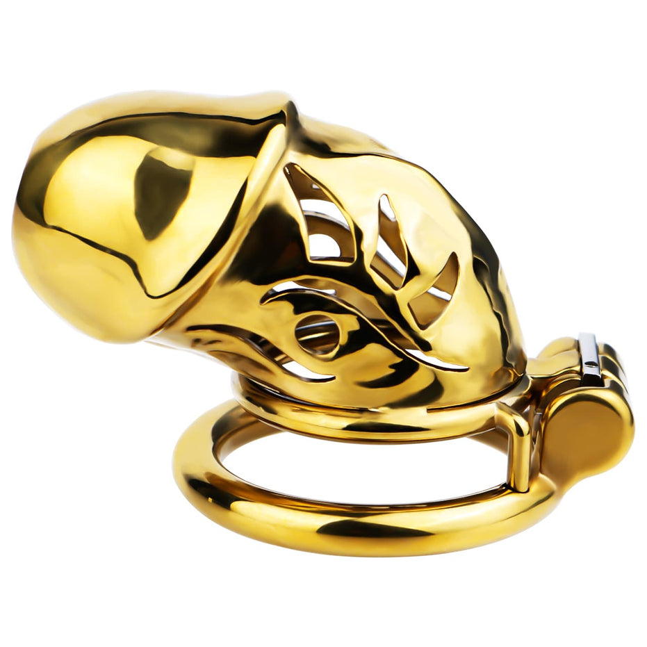 FRRK-311A Chastity Cage Birdcage for Men