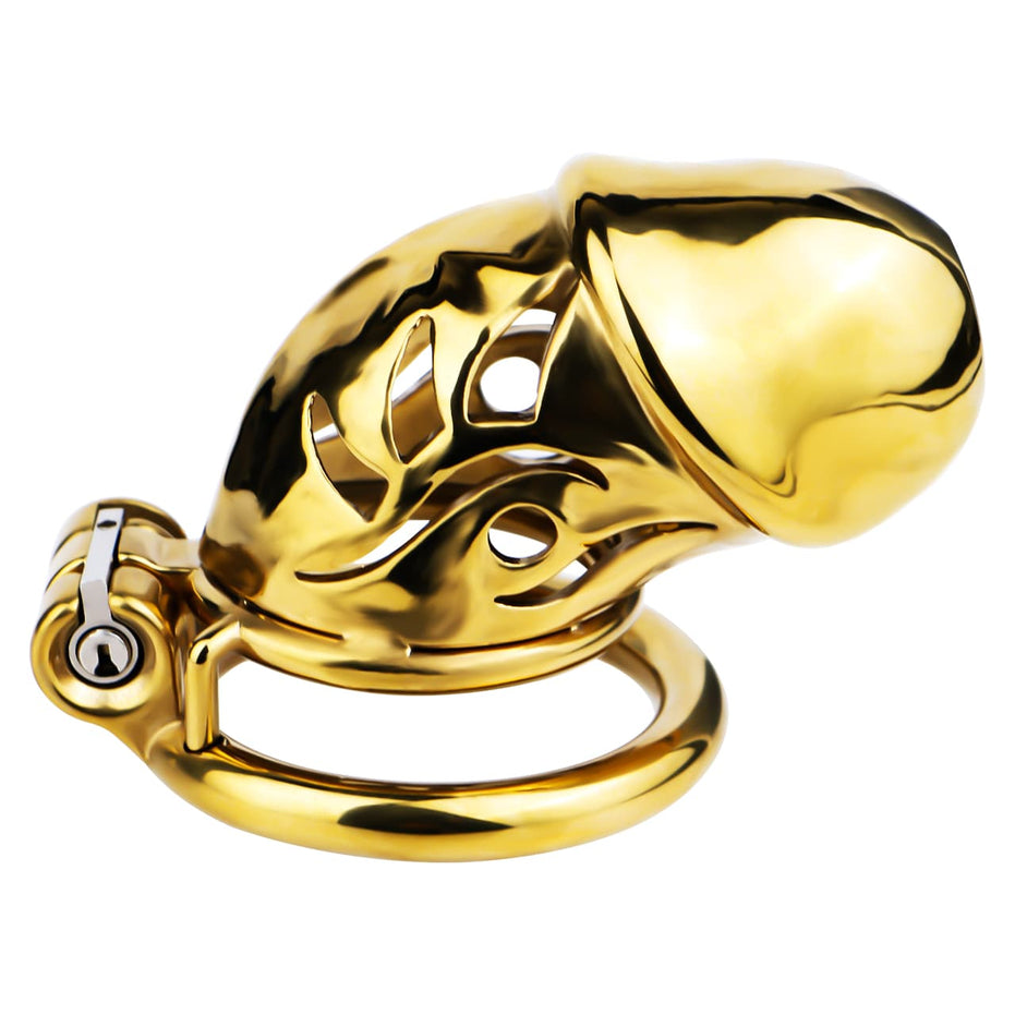 FRRK-311A Chastity Cage Birdcage for Men