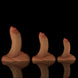 Dream Extinction Bird Realistic Dildo