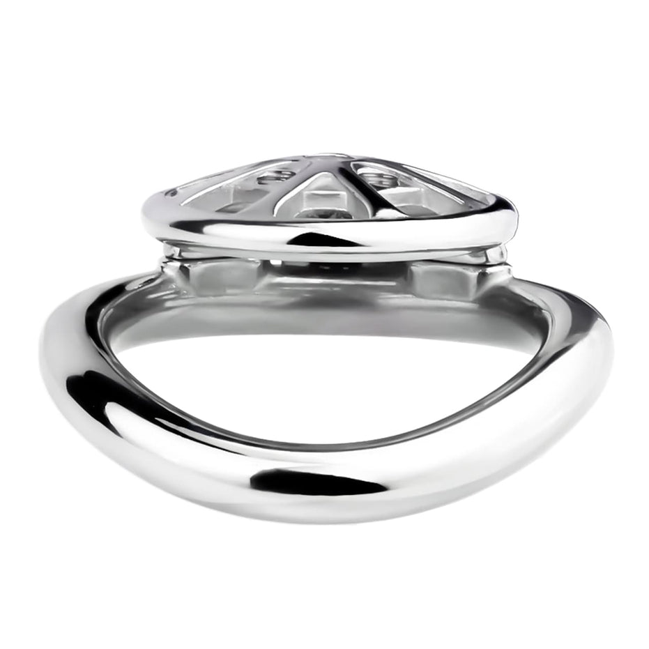 FRRK-247 Flat Cock Chastity Cage with Removable Determination Spikes