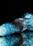 Aries Blue Black Zodiac Dildo
