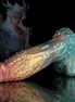 Shirasawa Rainbow Fantasy Dildo- Monster Dildo