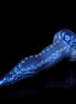 Small Octopus Blue Tentacle Dildo